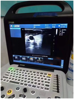 1753770795110920.png image.png